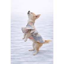 Kedi - Köpek Mevsimlik Valonlu Gömlek - Kıyafet - Elbise