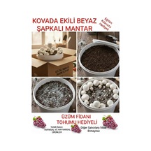 Kovada Beyaz Şapkalı Kültür Mantarı Ekili Deneme Kiti