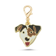 Jack Russell 3 Renk Altın Kaplama Mineli Aksesuar Renkli