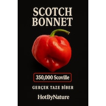 Scotch Bonnet Jamaican Red Pepper 350.000 Scoville - Gerçek Taze Acı Biber