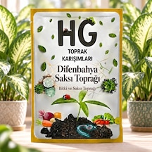Hg Difenbahya Saksı Toprağı 40 LT