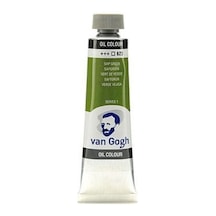 Talens Van Gogh Yağlı Boya 40 ML 623 Sap Green