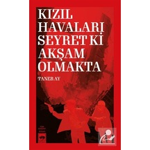 Kızıl Havaları Seyret Ki Akşam Olmakta / Taner Ay