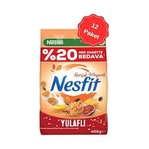 Nesfit Karışık Meyveli Gevrek 12 x 400 G