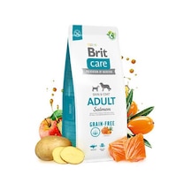 Skin Coat Somonlu Tahılsız Yetişkin Köpek Maması 3 Kg