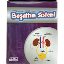Böbrek Boşaltım Sistemi Deney Seti