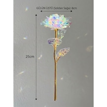 Dekoratif Galaksi Gül, Işıltılı Holografik Yapay Gül, Altın Renk Gövdeli Renk Değiştiren Tasarım Gül, Sevgililer Günü, Yıldönümü Ve Doğum Günü İçin Romantik Hediyelik 20beyazcipso