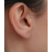 14 Ayar Altın Taşlı Balık Tragus Piercing Sarı Altın
