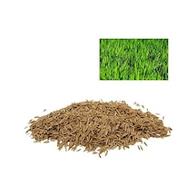 Tr Çim Tohumu 6mix 500gr