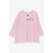 Breeze Kız Çocuk Uzun Kollu Elbise Tilkicik Nakışlı 1.5-5 Yaş, Pudra