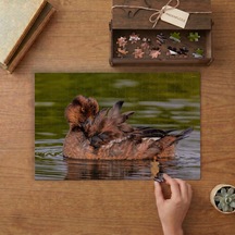 Gölde Yaban Ördeği Tasarımı 240 Parça Ahşap Puzzle Ahşap Kutuda Mpy40170