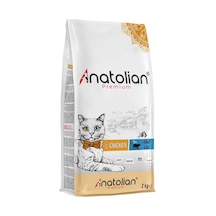 Adult Chicken Yetişkin Tavuklu Kedi Maması 2 Kg
