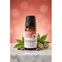 10 ML