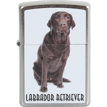 Zippo Çakmak Labrador Retriever