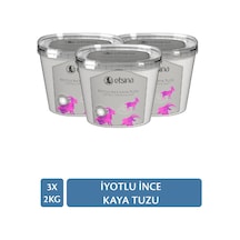 Efsina İyotlu İnce Kaya Tuzu 3 x 2 KG