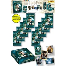 Panini Harry Potter Koleksiyonluk Trading Kart - 10 Paket 60 Kart