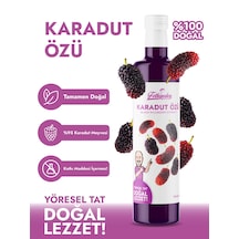 Fethiyeden Gelsin Doğal Karadut Özü- Katkısız Ve Organik-700g - Saf Ve Yoğun Lezzet
