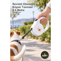 3 Adet Sevimli Otomatik Köpek Tasması 2.5 Metre Metal