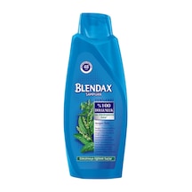 Blendax Isırgan Özlü Saç Dökülmelerine Karşı Şampuan 550 Ml