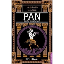Pan Bize Ne Mesaj Veriyor / Efe Elmas