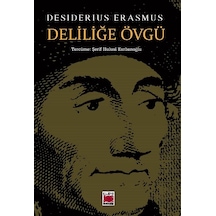 Deliliğe Övgü-felsefe