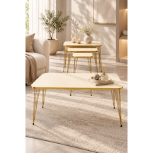 Odera Orta Sehpa Ve Zigon Sehpa 4'lü Set Metal Tel Ayaklı Modern Retro Salon Sehpası Diğer