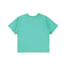Mint Yeşili