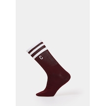 Colin's Colins Erkek Bordo Çorap Cl1083084 Q1.v2 Bur Burgundy
