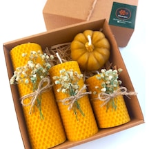 Balmumu Mum Dekoratif Hediye Kutusu 4 Lü Set Doğal Petek Beeswax Candle Bal Kabağı Krem Yeşil Çiçekli Diğer