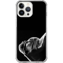 Apple Uyumlu iPhone 13 Pro Köpek 1 Baskılı Şeffaf Köşe Korumalı Antişok Kılıf