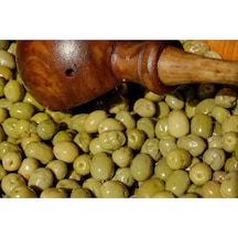 Tüplü Halhalı Zeytin Fidanı 4 Yaş