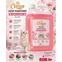 Kedi Parfümü 5 Litre Kiraz Çiçeği İçerikli