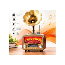 Vintage Retro Bluetooth Hoparlör Gramofon Tasarımlı Am Fm Sw Radyo Usb Tf Kartlı Rt-422 Evimdeyokyok