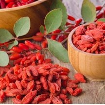 Aşılı Goji Berry Fidanı Kurt Üzümü