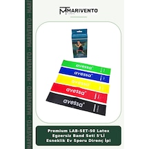 Premium Lab-set-50 Latex Egzersiz Band Seti 5'li Esneklik Ev Sporu Direnç İpi Çok Renkli