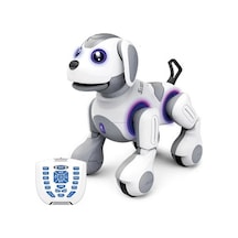 Uzaktan Kumandalı Programlanabilir Robot İle Eğlence