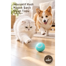 1 Adet İnteraktif Kedi Köpek Şarjlı Oyun Topu