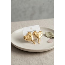 316l Çelik Gold Renk Melting Heart Model Küpe Çok Renkli