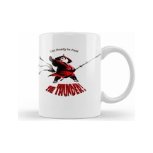 Kung Fu Panda Kupa Bardak Porselen No24925 Karışık