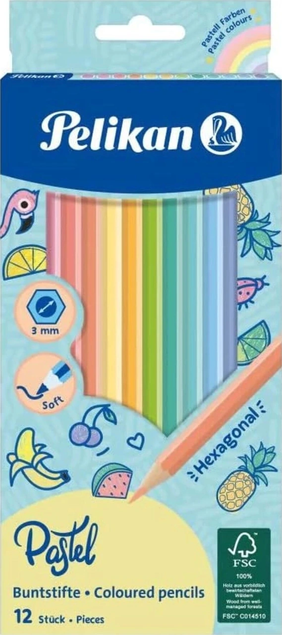 12'li Pastel Kuru Boya Kalemi / Bsp12ln Çok Renkli