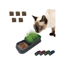 Hidroponik Kedi Çimi Seti, 5 Paket, Doğal Çim Yetiştirme
