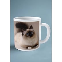 Birman Kedisi Kedi İsimli Kişiye Özel Baskılı Kupa Bardak Model 2 Çok Renkli