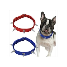 Orta Irk Çivili Köpek Tasması Boy 60 Cm En 3 Cm
