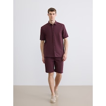 Lcw Vision Mürdüm Regular Fit Erkek Şort