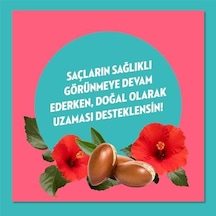 Doğanın Enerjisi Saç Bakım Şampuanı Argan Yağı & Hibiskus Özü Dökülme Karşıtı & Güçlü Uzamayı Destekleyici 400 Ml