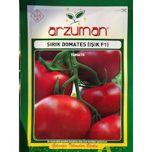 Arzuman Işık F1 Sırık Domates Tohumu  10 Adet