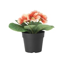 Ikea Fejka Saksılı Yapay Çuha Çiçeği 16 Cm Siyah Yeşil Bordo Beyaz Çok  Renkli