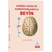 Harika Yapısı Ve Fonksiyonlarıyla Beyin