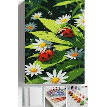 Sayılarla Boyama Seti Numaralı Tuval Fırça Boya Askı Aparatı Dahil Set 40x50 Cm - Uğur Böceği Papatya