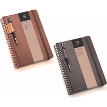 Gıpta Elıte 17x24 100 Yp. Çizgili Spiralli Deri Kapak Defter 6969 Çeşitli Renk Ve Desen
